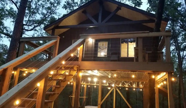 Bluebird Treehouse Big Cedar Wilderness Cabins