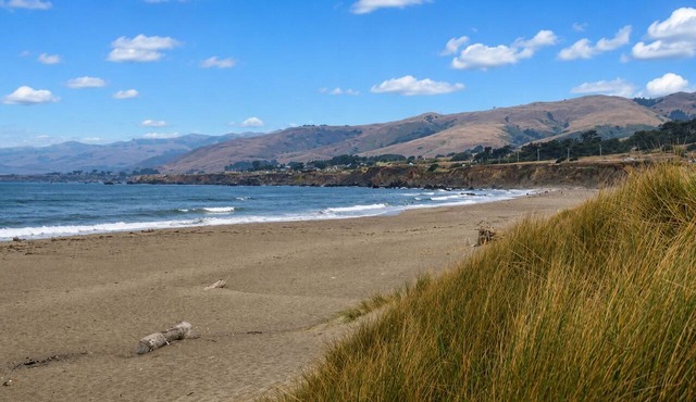Bodega Bay~Easy to Walk Sand~Beach Retreat~Surf-Fun–Fisherman’s Cottage in Bodega Bay