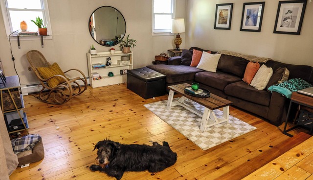 Charming 1-bedroom house. Close to everything, But quiet area. Pet Friendly