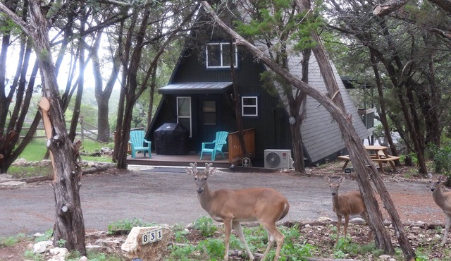 Charming 2-bedroom loft A Frame with lake view in peaceful Canyon Lake