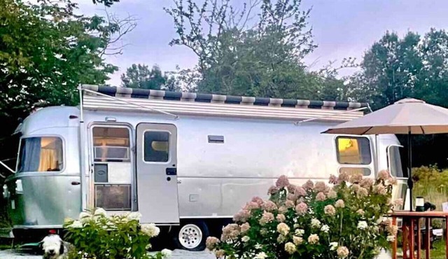 Come Spring Farm Airstream , Lake & farm animals