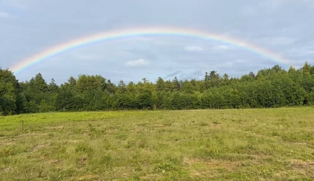 Connect with nature - quiet and peaceful modern ranch in Eastbrook