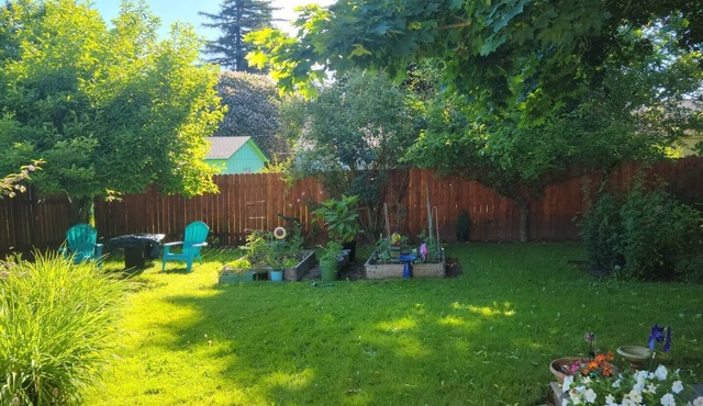 Cool basement apartment with WiFi in vibrant Portland, Oregon.