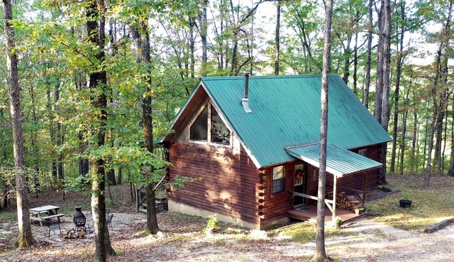 Couples/Family Secluded Getaway Near Hot Springs-Jacuzzi Overlooking Mountains!