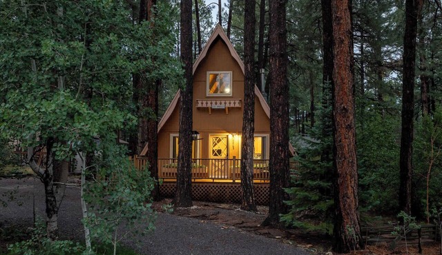 Cozy A-Frame with Fenced Yard