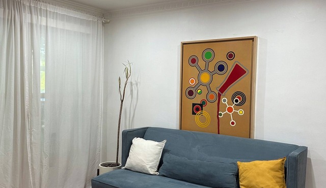 Cozy Central LA 1B1B apartment 5 minutes from the grove