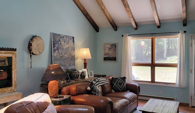 Cozy Condo for 6 with wooded back patio & grill. 1 mile to town square.