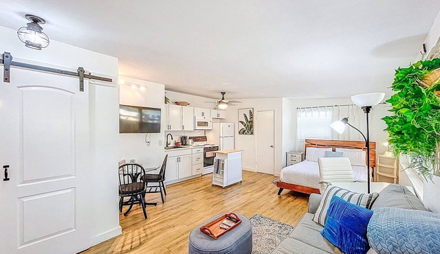 Cozy studio in fantastic Dunedin with refreshing AC
