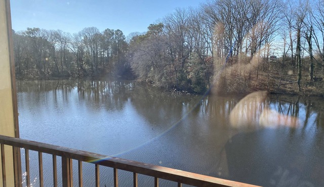 Cozy Waterfront Eastern Shore Condo