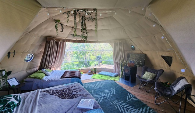 #D3 Rainforest Getaway Dome- 2 Dbl beds-No pets Please in Drumheller
