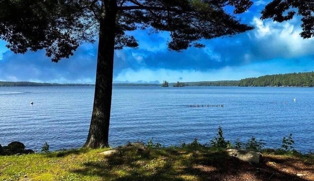 Damariscotta Lakefront Cottage perfect for a relaxing getaway