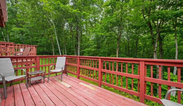 Disconnect Here | Rustic 3BR Off-Grid Hideaway in Stoneham