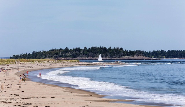Driftwood Oceanfront Cottage at Popham Beach Spectacular views from every room