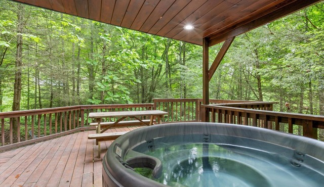 Fern Gulley Cabin with Hot Tub, Pet Friendly, near DBBB/Hollerwood