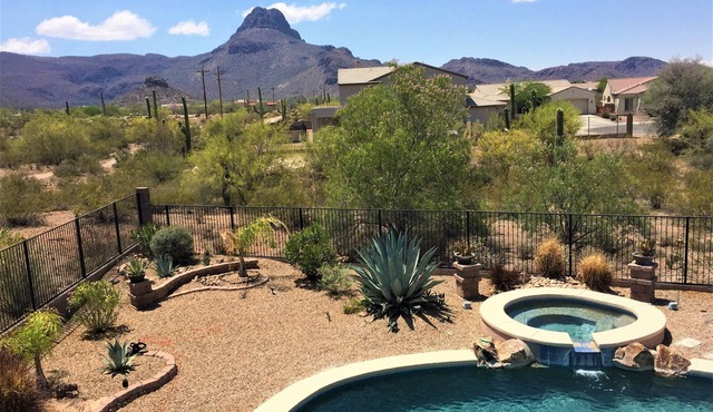 Golfing, Birdwatching, Biking, Swimming, All Await You! in Tucson