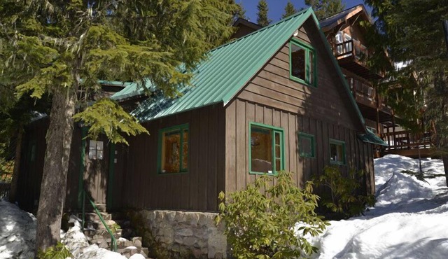 Heart of village! Knotty pine cabin located on a creek.