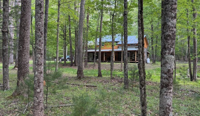 Historic Cabin on the Creek!