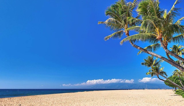 KBM Resorts | FREE CAR | Honua Kai Konea | 2-Bedroom Condo with Large Floorplan, Recently Updated! HKK-926