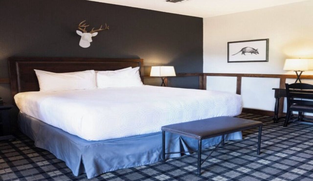 King Bed | Golf Course Views | Pool Access | 6 mi to Hill Country Mile Shopping