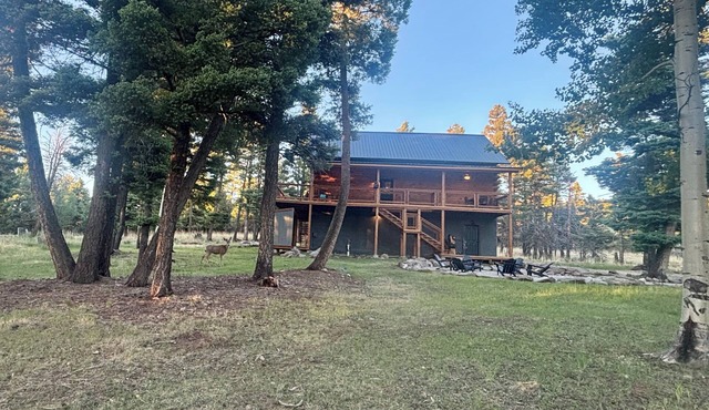 Limited-Time August Special for Bear Necessities Lodge