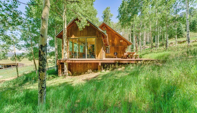 Mountain-View Ranch w/200 Acres in Angel Fire