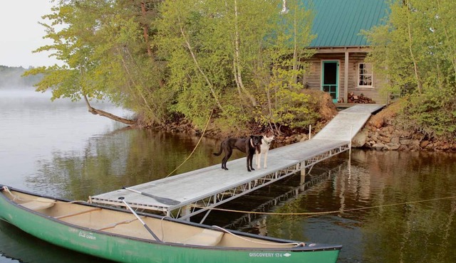Naughty Dog Private Island Log Cabin in Monmouth, ME