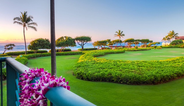 Oceanfront Boutique Condo. 5% Discount for Most Stays of 7 or More Nights