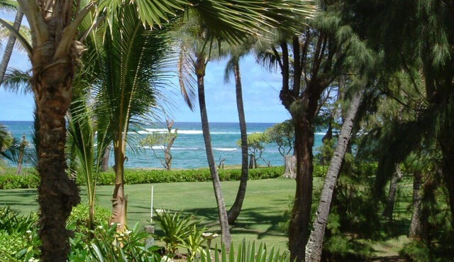 OCEANFRONT to Walking Path & Beach TVNC #1287