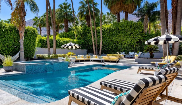 Palm Grove - Luxury Mid Mod Vacation Home!