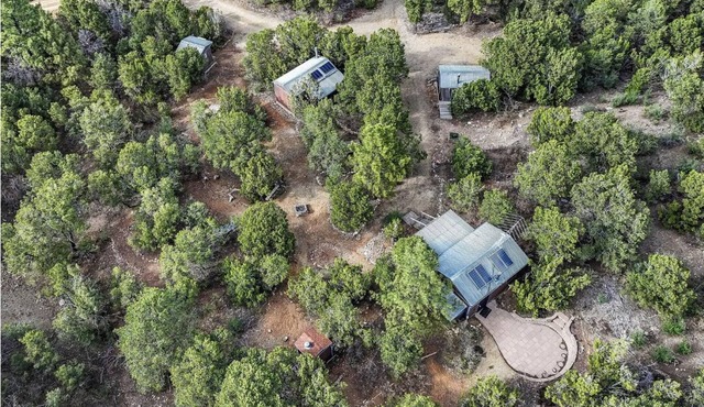 Peaceful and serine 3- cabins in the mountains of Sandia Park