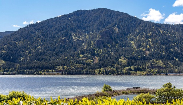 Perfect River Location and Views! Amazing Remodel!