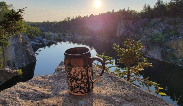 Pet Friendly Cottage with amenities your family won't want to miss!