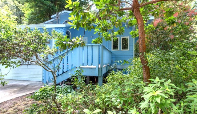 Quirky Pet-Friendly Cabin Rental Perfect for Glamping in Northern California