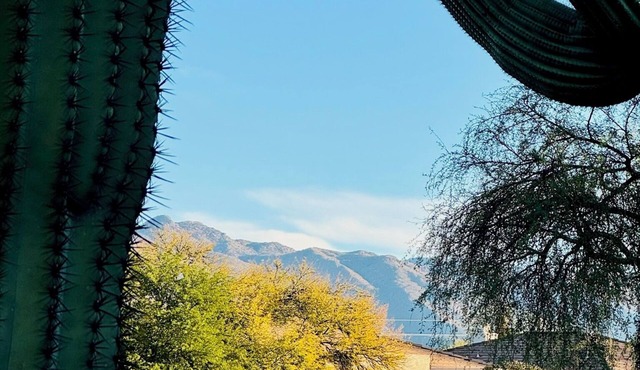Recently Remodeled 3BR/2BA+Office, Gated Home, Pools, Mountain Views