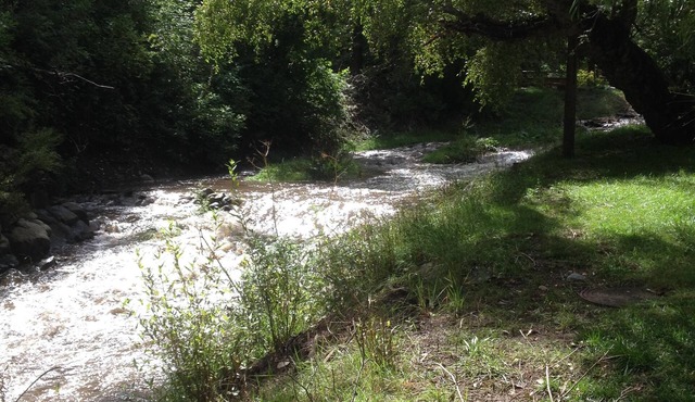 Relax at our River Front Cabin in Historic Upper Canyon