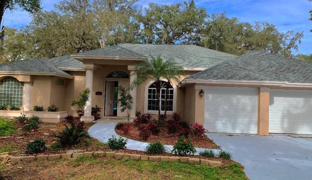Retreat with Private Caged, Salt Water Pool, 4 Bd/3 Ba, Near Busch Gardens & USF