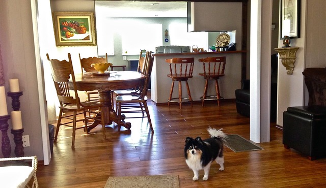 River views! Sleeps 6, walk to Wine, Hiking and Sandbar - Dogs Welcome!