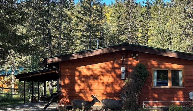 Riverside Bragg Creek Cabin in the Heart of Town