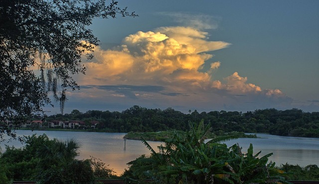 Safety Harbor Bird House with Lake View