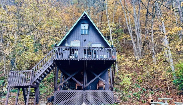 Secluded cabin on the Clinch river, kayaks & canoes available! Sleeps 6. WIFI.