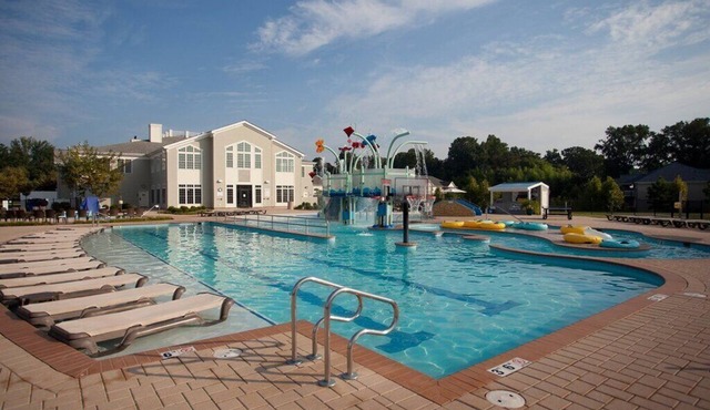 Spacious 1 BR | The Colonies At Williamsburg