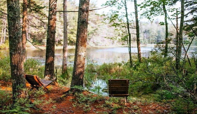 Spruce Studio: Near Beach+Private Sauna+FirePit+Pond+Heat/AC