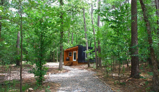 The Quiet Pine Tiny Cabin