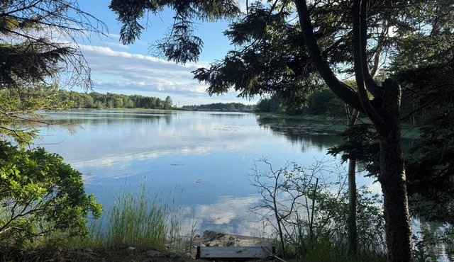 The Tide House - charming 3-bedroom cottage in Spruce Head, WiFi, waterfront