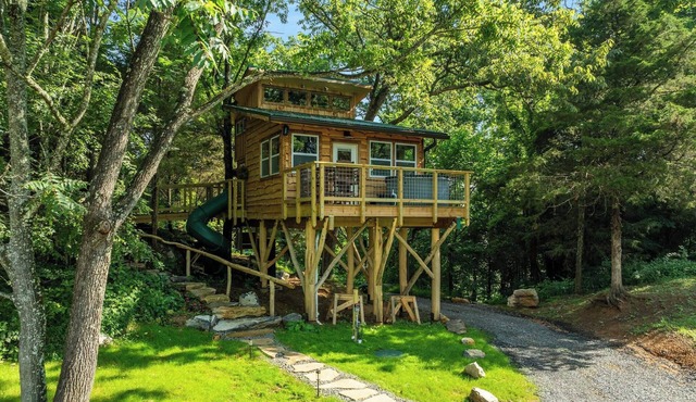 "Treedom", Treehouse with a Disc Golf Course, Hot Tub, Arcade, Firepit and Slide