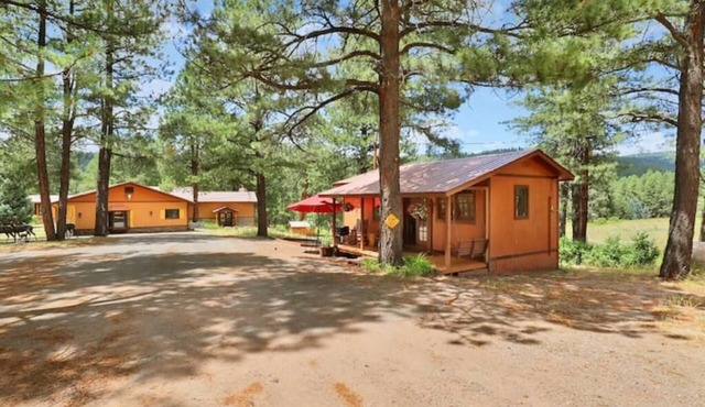 Trinity Springs ~ Mountain Oasis
