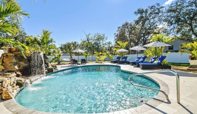 Tropical Oasis in the Heart of Tampa - Perfect for Families or Couples