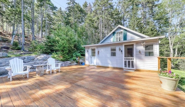 Two separate dog-friendly homes with water views