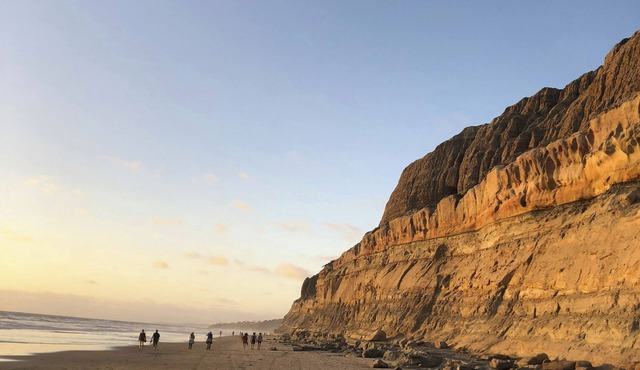 Walk to Torrey Pines Beach! 'beachwalk Bungalow'