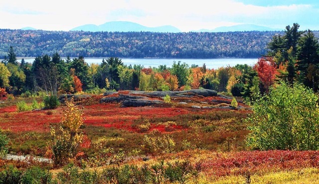 Wolfe's Way Priv. Beach, Waterfront recreation, Swim & Acadia!